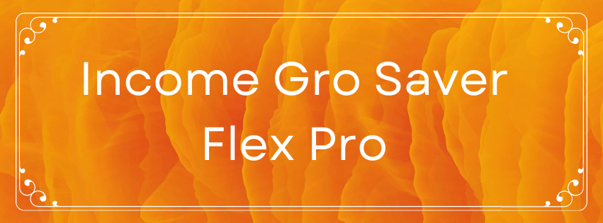 Income Gro Saver Flex Pro
