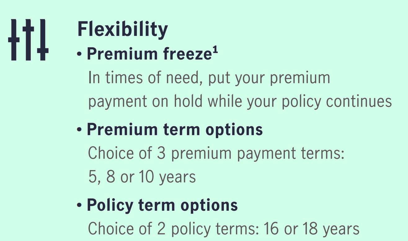 Flexibility in Premium Payment Choosing the Right Term for You