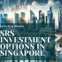 Maximizing Your Wealth SRS Investment Options in Singapore