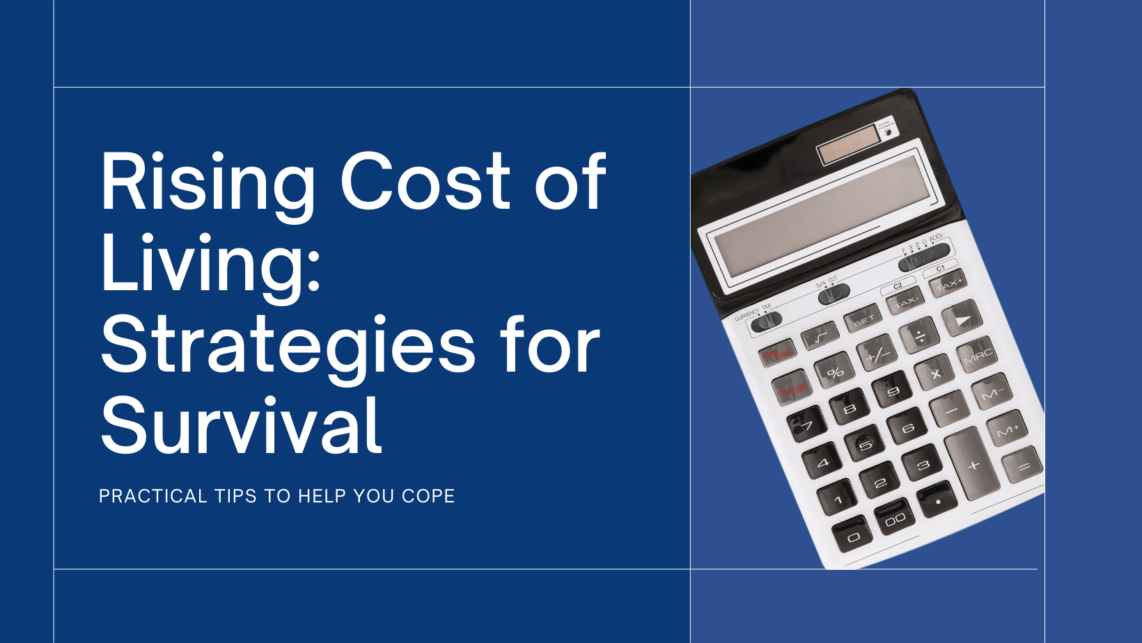 Cost of Living in Singapore Strategies for Survival